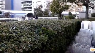🈲🈲无码肉片